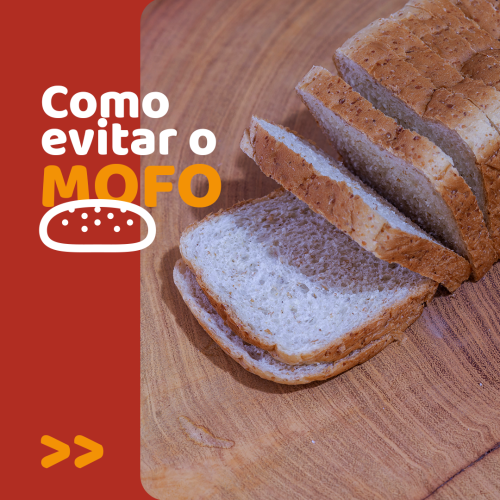 Como evitar mofo nos pães Panettá